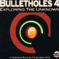 Bulletholes4.jpg